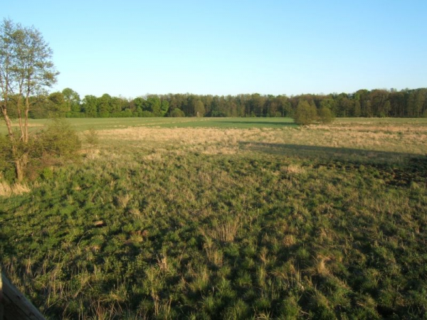 Our Hunting Areas