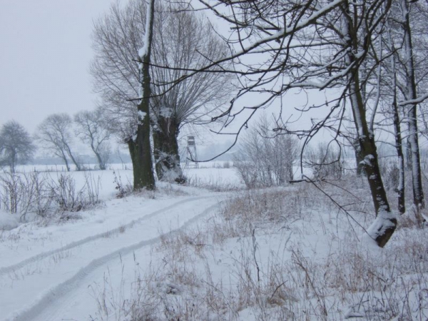 Our Hunting Areas