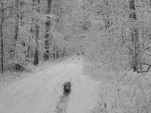 Our Hunting Areas