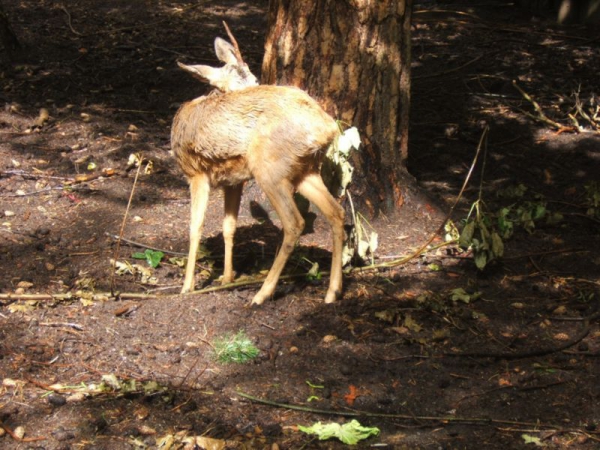 Our Hunting Areas