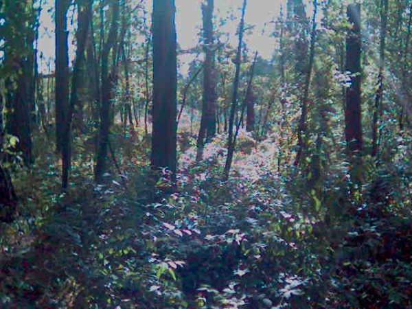 Our Hunting Areas