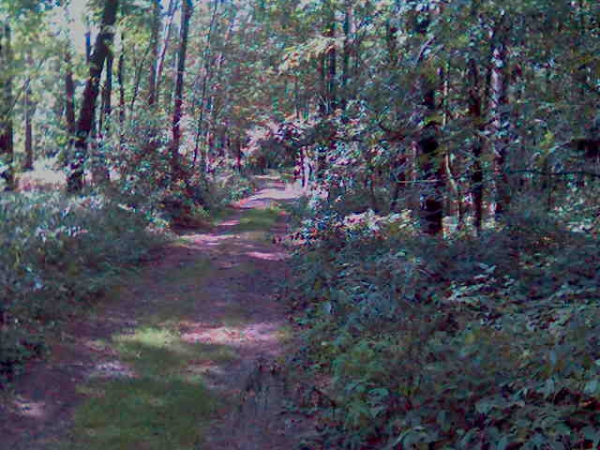 Our Hunting Areas