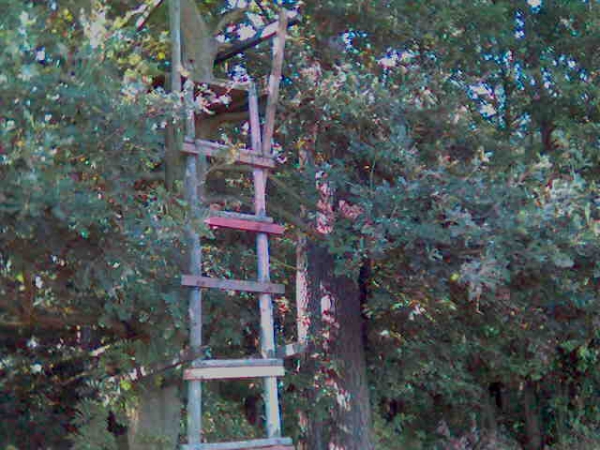 Our Hunting Areas