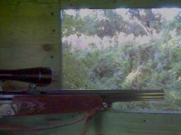 Our Hunting Areas