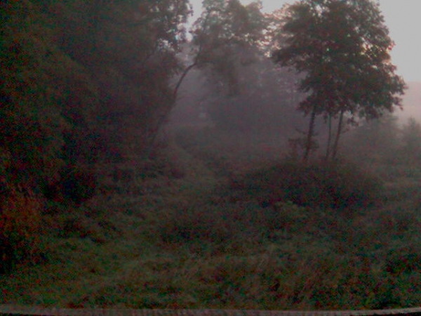 Our Hunting Areas
