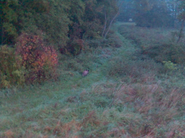 Our Hunting Areas
