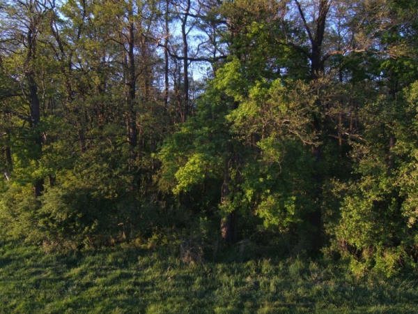 Our Hunting Areas
