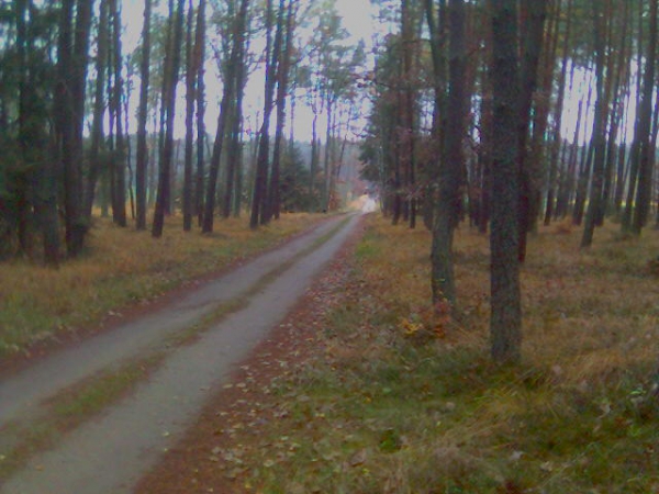 Our Hunting Areas