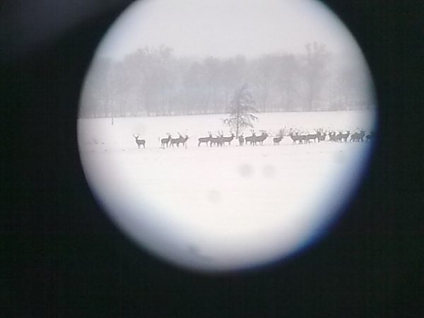 Our Hunting Areas