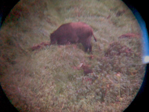 Our Hunting Areas