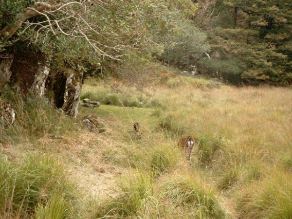 Our Hunting Areas