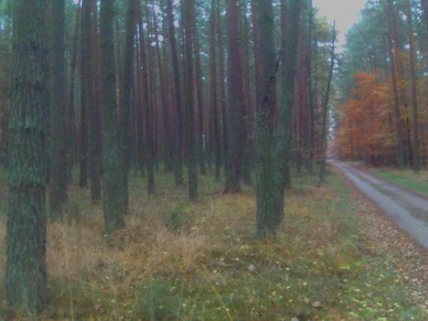 Our Hunting Areas