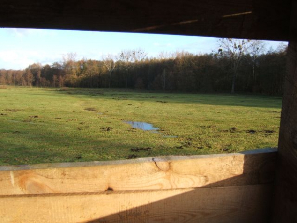 Our Hunting Areas