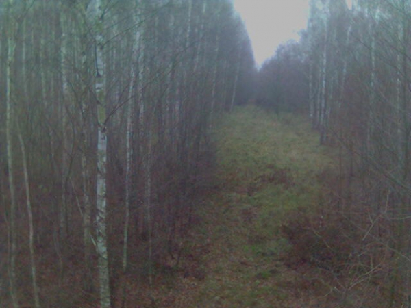 Our Hunting Areas
