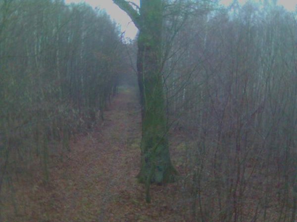 Our Hunting Areas