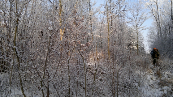 Our Hunting Areas