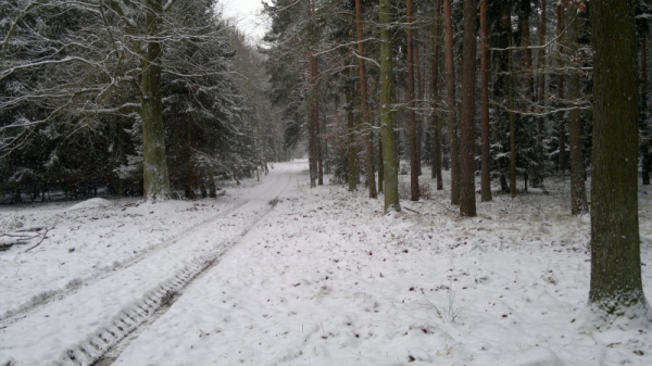 Our Hunting Areas