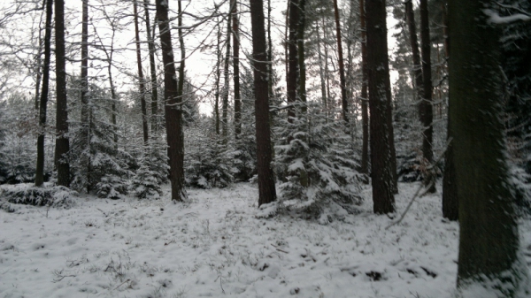 Our Hunting Areas