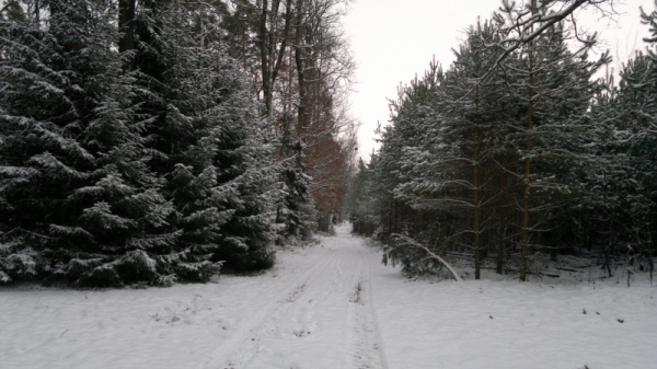 Our Hunting Areas
