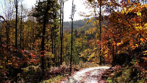 Our Hunting Areas