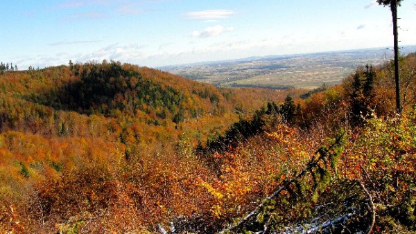 Our Hunting Areas