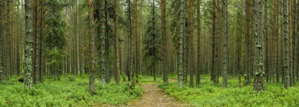 Our Hunting Areas
