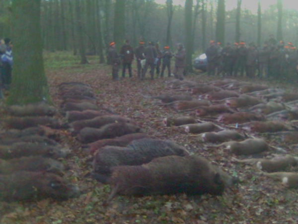 Driven-hunt 01.10-15.01