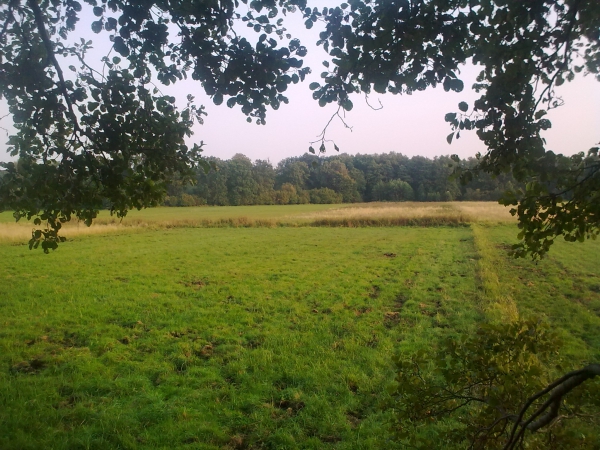 Red-stag Hunting 21.08-28.02