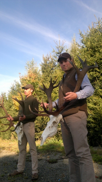 Red-stag Hunting 21.08-28.02