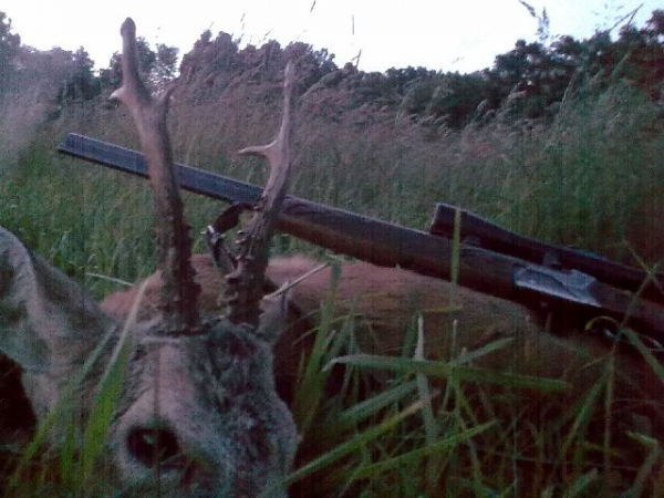 Roe-bucks Hunting  11.05-30.09