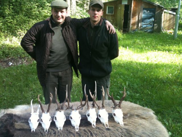 Roe-bucks Hunting  11.05-30.09