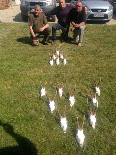 Roe-bucks Hunting  11.05-30.09