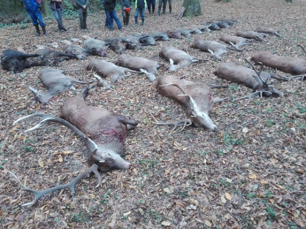 New Hunting Season 2021/22 vs. Covid-19